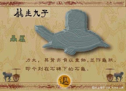 1173046c564.jpg
