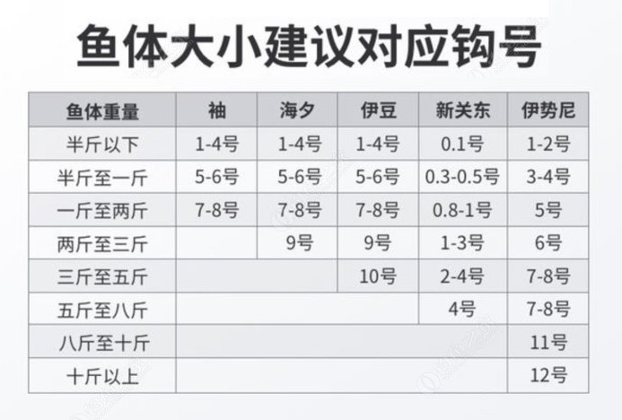 钩号.jpg